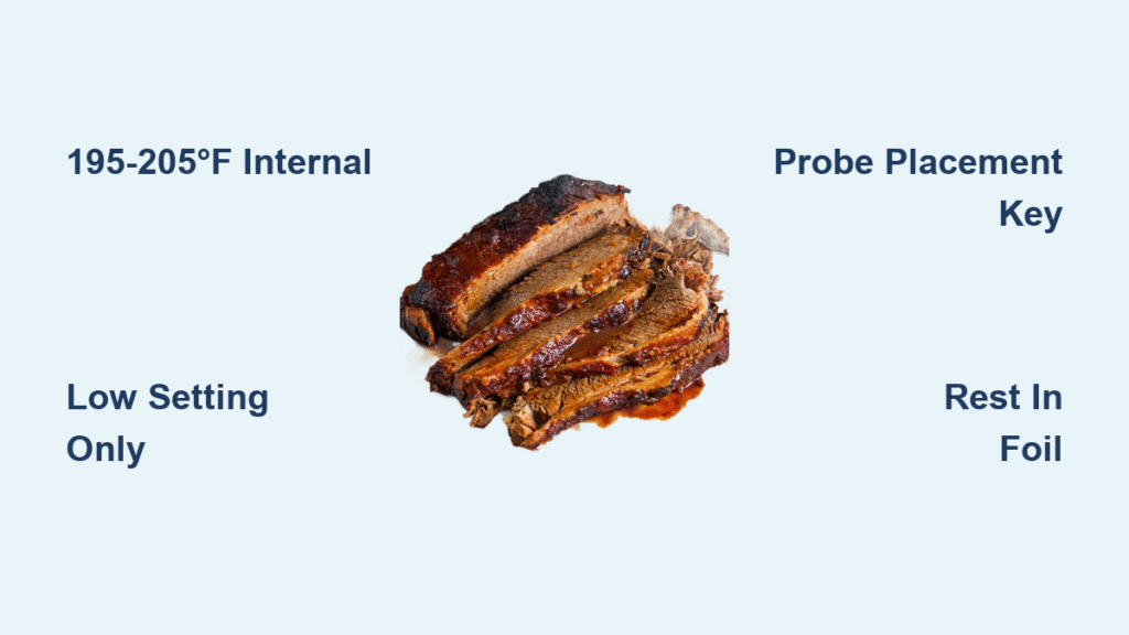 Best Slow Cooker Temperature for Brisket (2025 Guide)